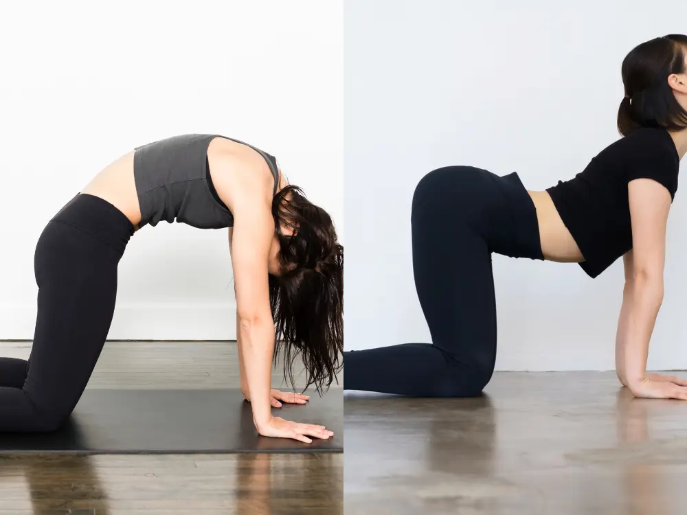 स्पाइनल स्टेनोसिस